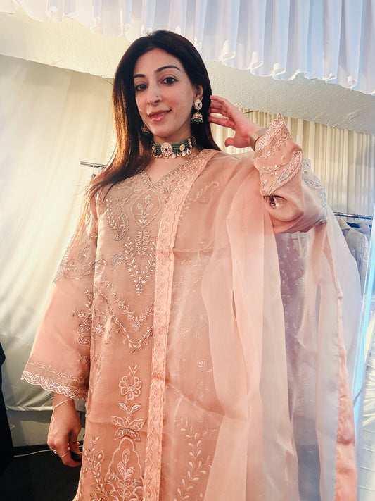 Blush Pink Organza Aghanoor Suit