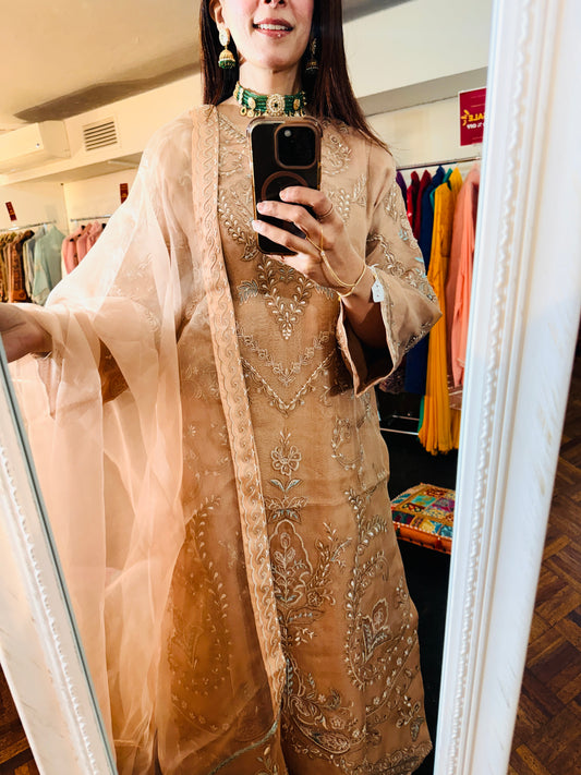 Blush Pink Organza Aghanoor Suit